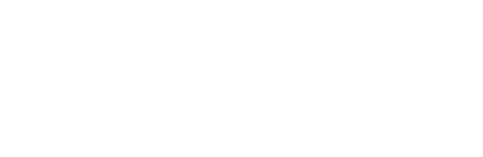 VivaValet